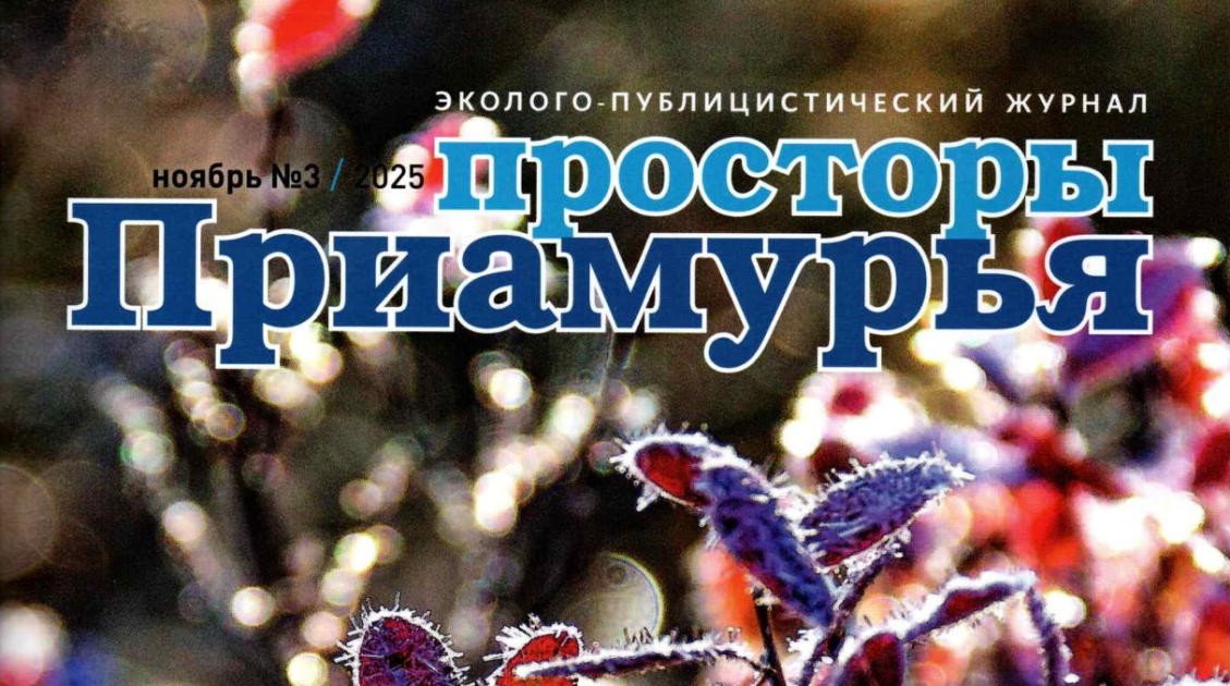 Просторы Приамурья